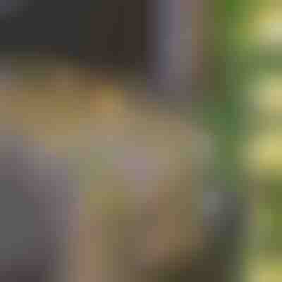 Ηλιακά φώτα με τεχνητά φύλλα κισσού (5 m) | LEAFGLO