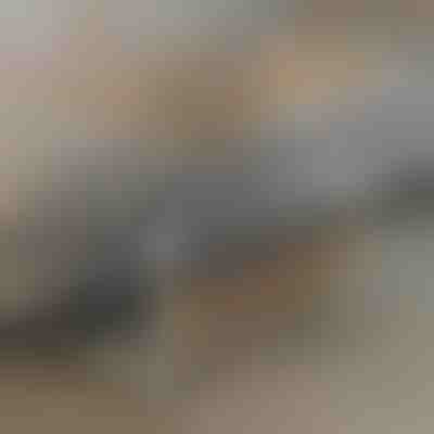 Φορητό τραπέζι | EVOSTUL