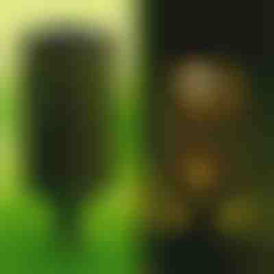 Ηλιακό φως διακοσμητικό (2 τεμάχια) | GARDENIAS