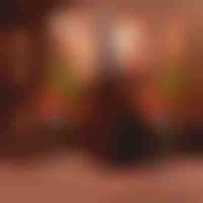 Κυπαρίσσι Δέντρο με Ηλιακό Φως | CUPRESSUS