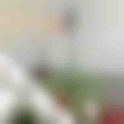 Ρυθμιζόμενη ράβδος σταθεροποίησης κορυφής δέντρου | STABLESTAR